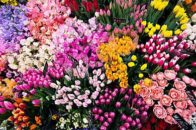 《EXODUS》官方发布新图 还可赢取珍藏版手册